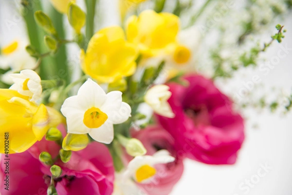 Obraz スイセンと花束