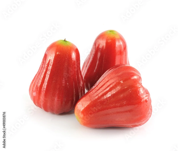 Fototapeta Rose apples or chomphu isolated on white background