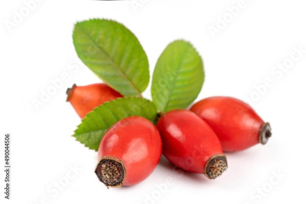 Fototapeta Rosehip isolated on a white background. Fresh raw briar berries with leaves.