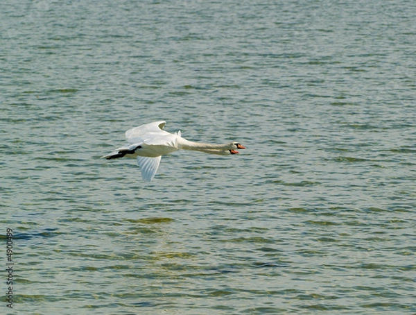 Obraz OLYMPUS DIGITAL CAMERA