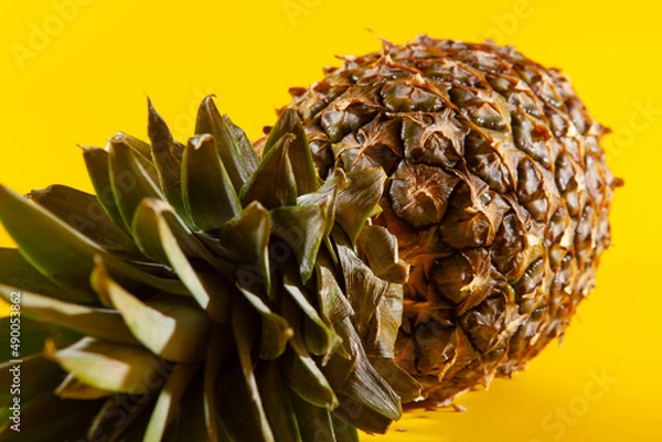 Obraz Beautiful fresh pineapple isolated on yellow background. Summer seasonal fruit design idea pattern concept. Copy space, close up