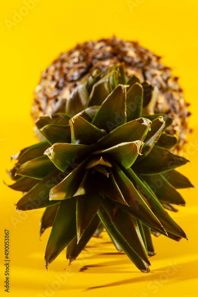 Obraz Beautiful fresh pineapple isolated on yellow background. Summer seasonal fruit design idea pattern concept. Copy space, close up
