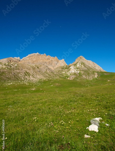 Obraz Wiese auf der Alm