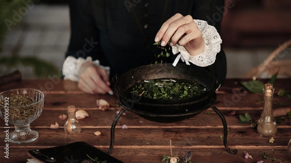 Obraz the witch cooks an elixir with herbs in a cauldron