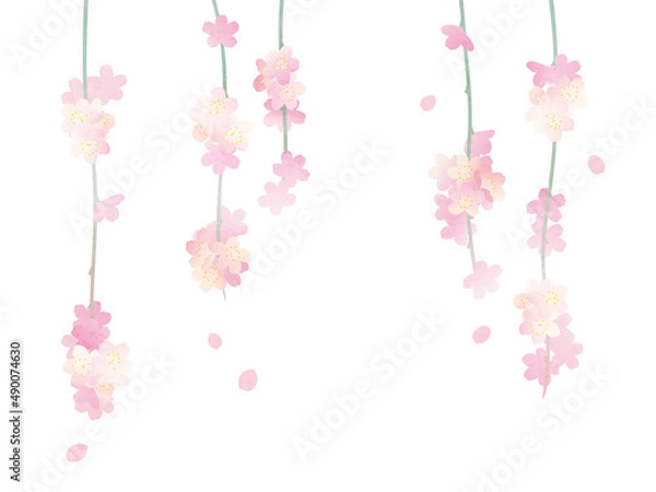 Obraz 枝垂れ桜の背景イラスト