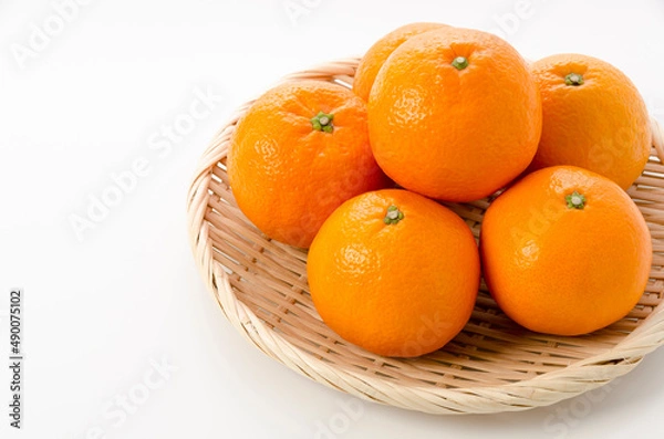 Obraz いよかん イヨカン 伊予柑