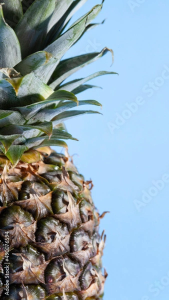 Obraz Pineapple on a blue background. close-up view