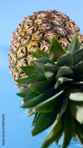 Obraz Pineapple on a blue background. close-up view