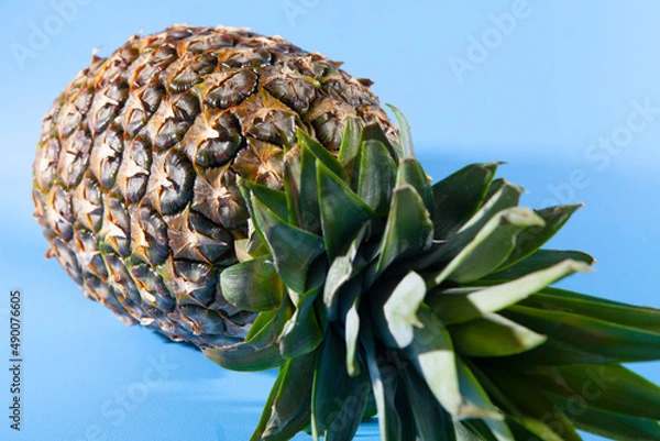 Obraz Pineapple on a blue background. close-up view