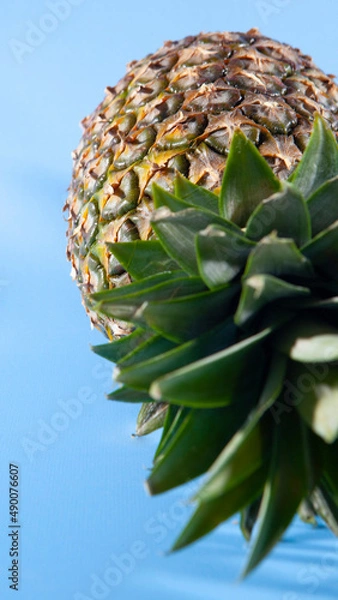 Obraz Pineapple on a blue background. close-up view