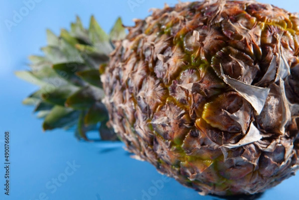 Obraz Pineapple on a blue background. close-up view