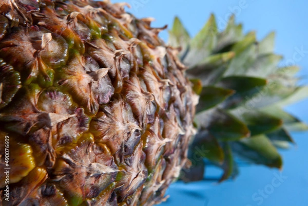 Obraz Pineapple on a blue background. close-up view