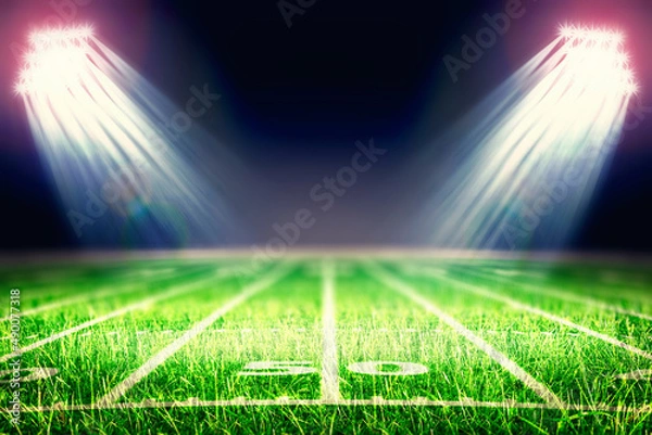 Fototapeta Perspective of football field. Football stadium with white lines marking the pitch. Perspective elements.Ragby football field with white lines marking the pitch. 3d illustration.