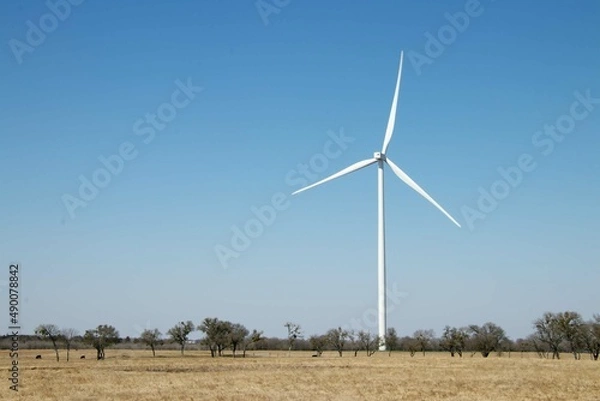 Obraz wind turbine in the field
