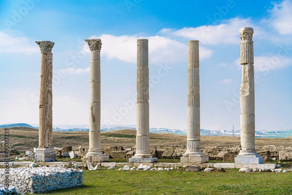 Obraz roman architecture columns