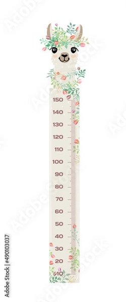 Obraz Stadiometer llama for kids Meter wall or height chart centimeter and foot, pastel colors, animal isolated on white background.
