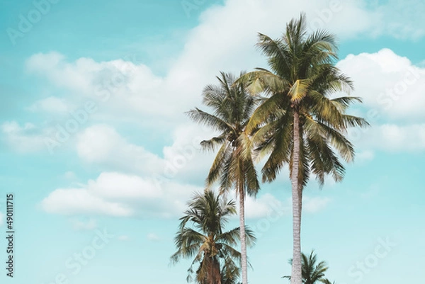 Fototapeta Tropical palm tree with blue sky and cloud abstract background. Summer vacation and nature travel adventure concept.