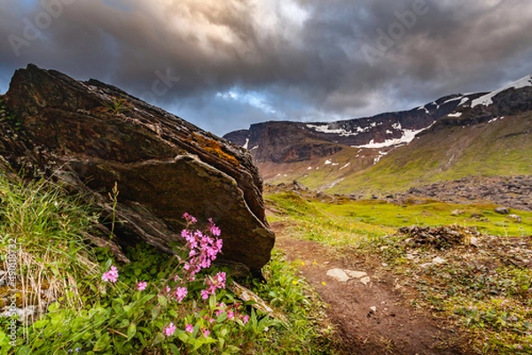 Obraz spring in the mountains