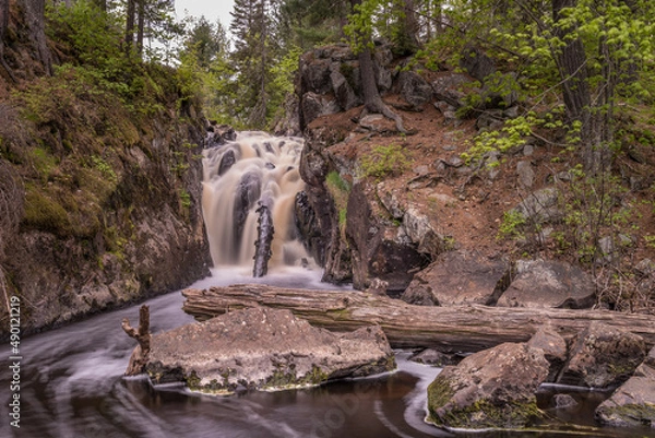 Obraz waterfall in the forest