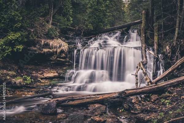 Obraz waterfall in the forest