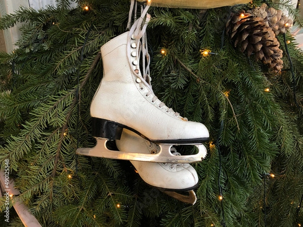 Obraz Skates hanging on the tree