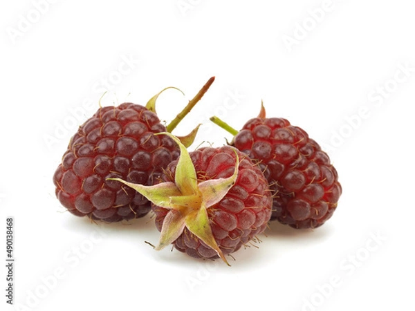 Obraz Ripe raspberry berries on a white background