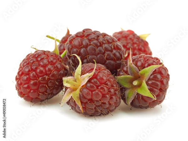 Obraz Ripe raspberry berries on a white background