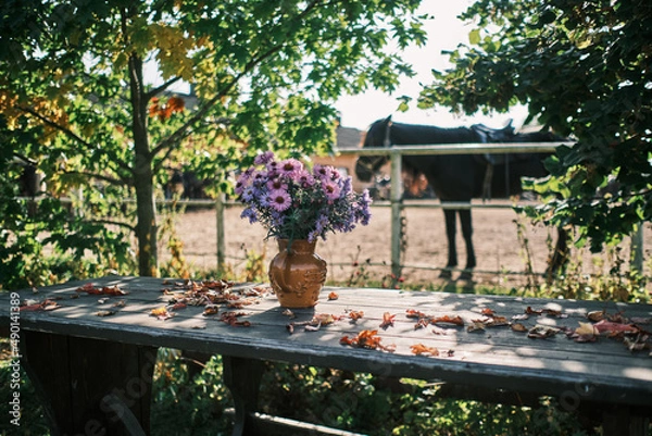 Fototapeta Beautiful flowers in a vase in the garden with a strong sun light and a horse on a background