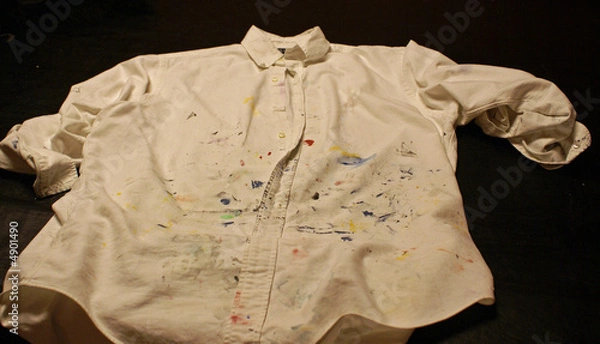 Obraz Paint Shirt