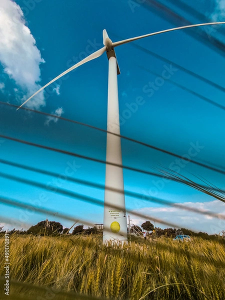 Fototapeta wind turbine in a field of wheat