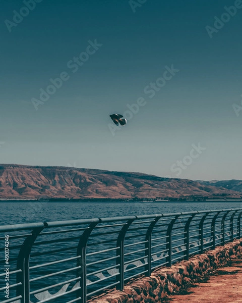 Fototapeta view from sea of galilee with beard