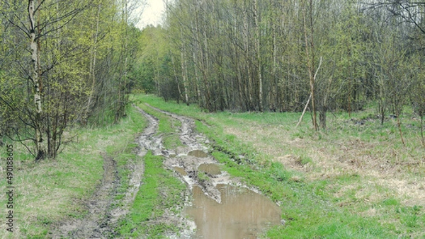 Fototapeta Spring puddles and mud on the road through green fields.