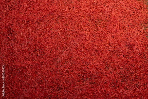 Obraz Red Saffron threads background