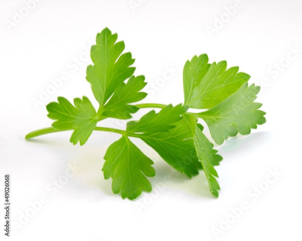 Obraz Pietruszka 3001a