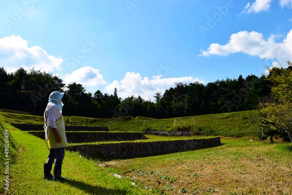 Fototapeta 田んぼを見つめる農家の女性