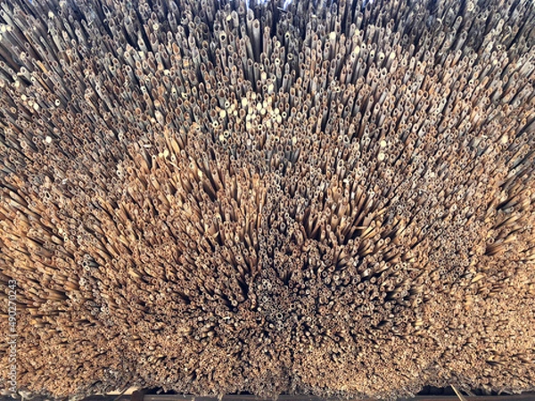 Fototapeta 茅葺き