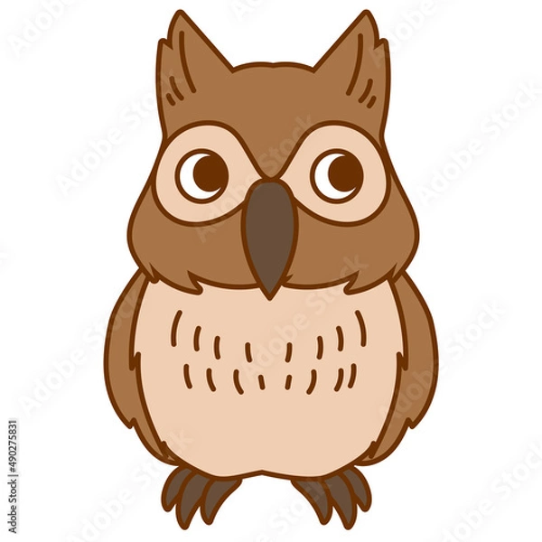 Obraz ミミズク正面