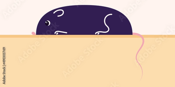 Fototapeta Horizontal poster with a mouse, a witchs familiar. Vector illustration