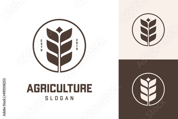 Fototapeta Illustration Vector Graphic of Wheat Logo. Perfect to use for Agriculture Company