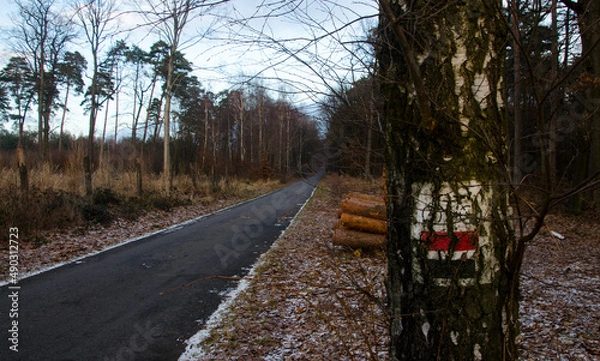 Fototapeta Droga rowerowa