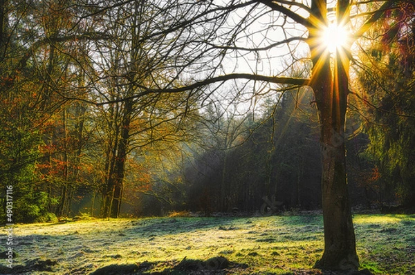 Obraz CO2-Neutral - Net Zero 2050