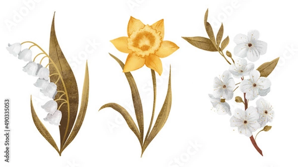 Fototapeta a set of isolated flowers on a white background - white lily of the valley, yellow daffodil and apple blossom buds, 2d illustration