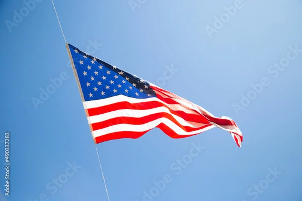 Obraz America Flag
