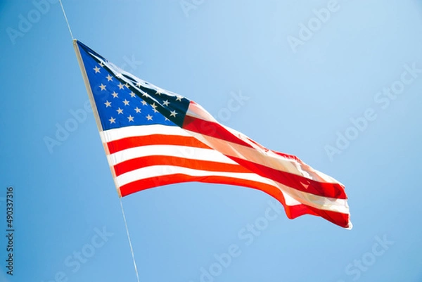 Obraz America Flag