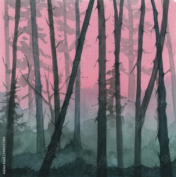 Obraz forest in the fog