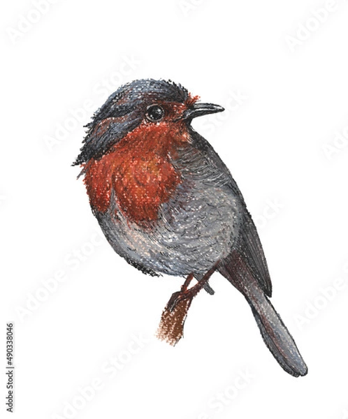 Obraz red winged blackbird