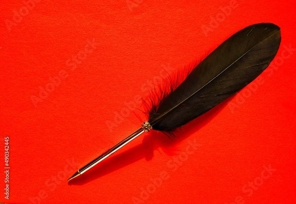 Fototapeta red and white feather