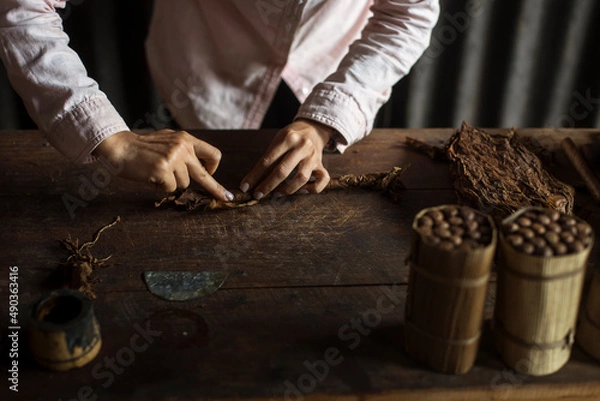 Fototapeta Hands of a woman rolling a cuban cigar in a beautfiul ambient. Vinales, Cuba