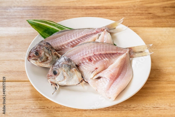 Fototapeta シズの開き