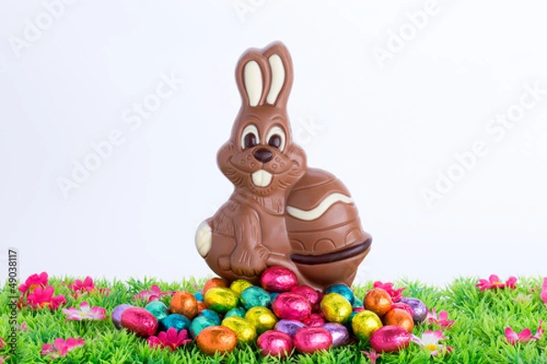 Fototapeta Osterhase mit Ostereiern auf Blumenwiese vor weißem Hintergrund
